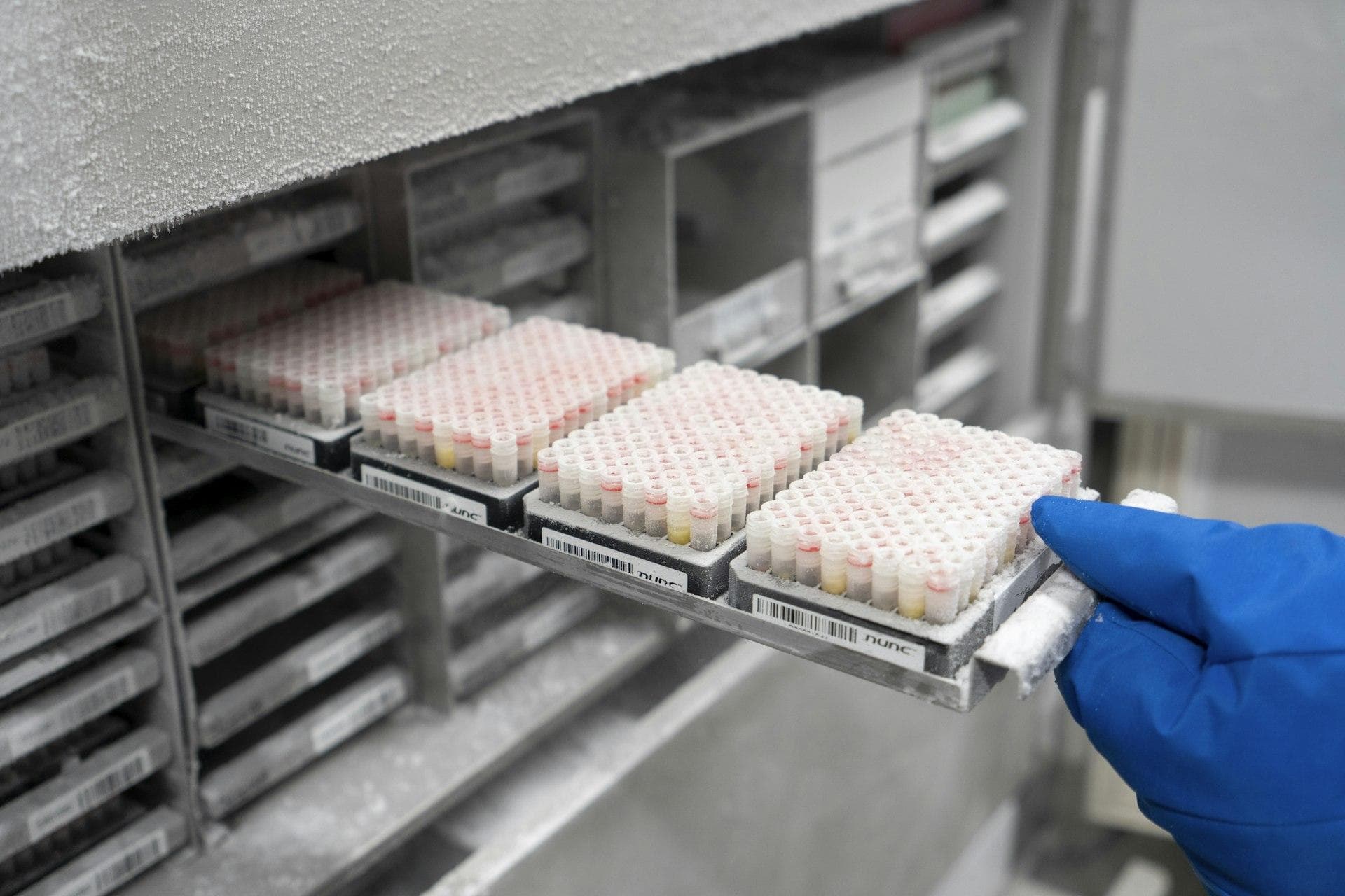 Biorepository & Sample Management at Ethimark
